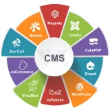 CMS и скрипты