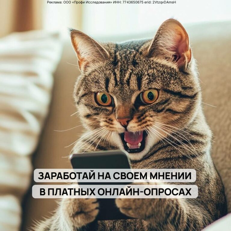 Profi Online Research